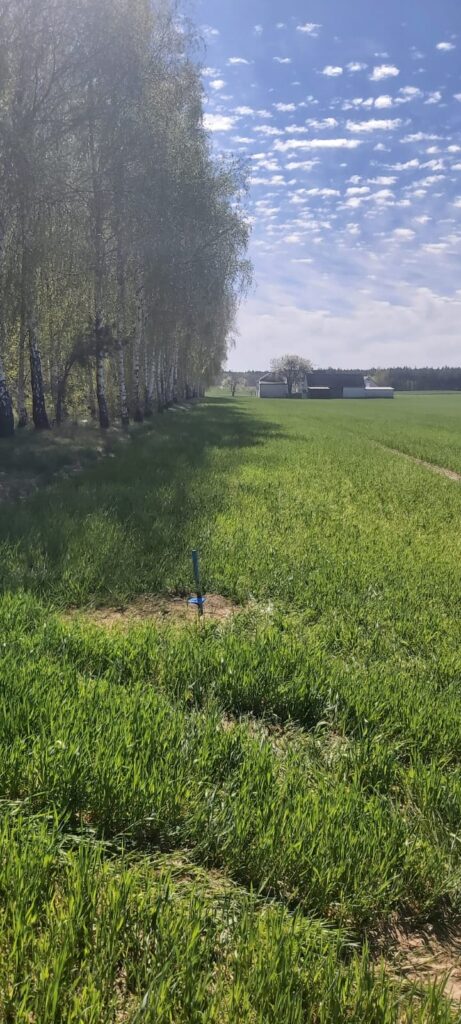 Tyczenie fundamentów budynku wielorodzinnego – Gniezno
